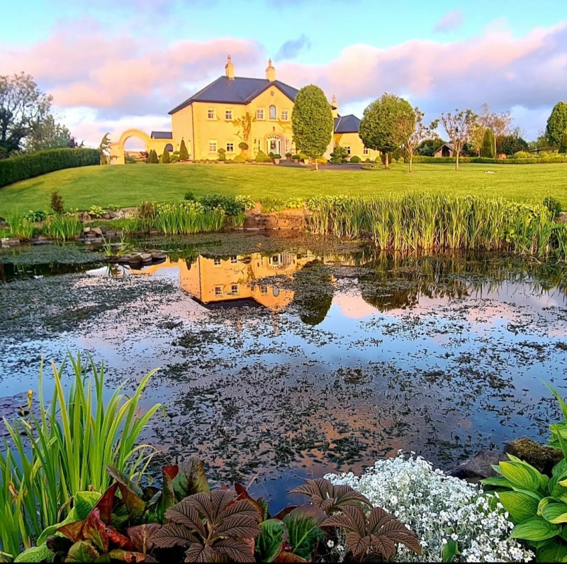 Lavender Manor